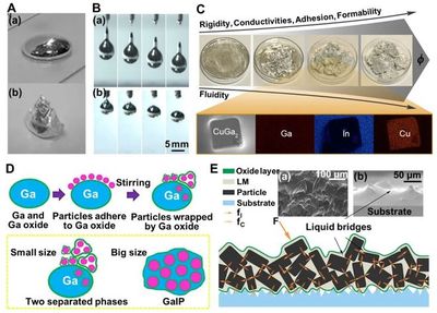 理化所刘静研究员/武汉纺织大学吕永钢教授《AFM》综述:低熔点合金刚度可调先进材料与复合材料